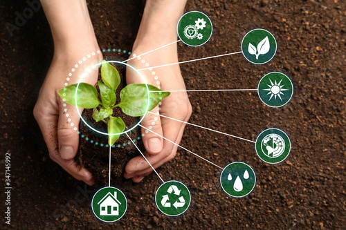 Modern technology in agriculture. Woman with green seedling and icons, top view