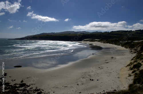 Amazing wild beach in Otago Peninsula, South Island, New Zealand