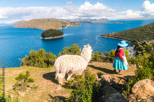Girl and Llama Alpaca with Island on Isla del Sol in Bolivia background. Scenic panoramic view of island, sea horizon. Bolivian island paradiseand hills. Tourist walking trail. Tourism. Titicaca lake
