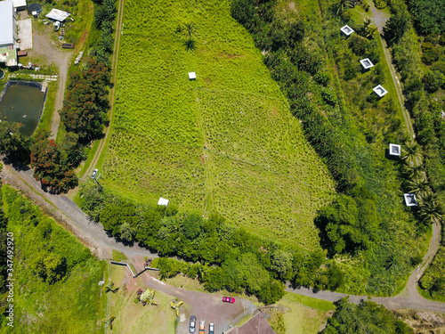 Lush Farm in Hilo, Hawaii