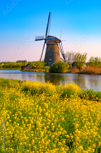 windmills in holland on a sunny day