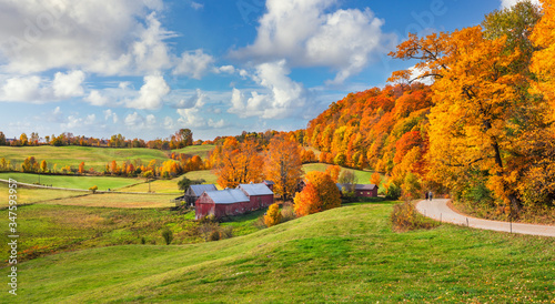 Brilliant golden fall colors in Vermont Countryside farm during Autumn near Woodstock