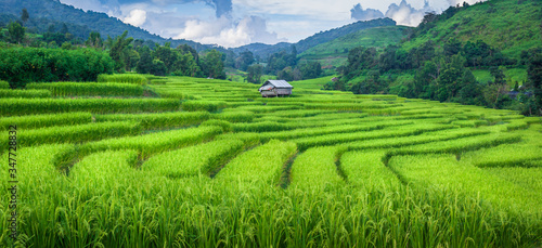 Rice terraces ,Ban Khun Pae , Chiang Mai , Thailand