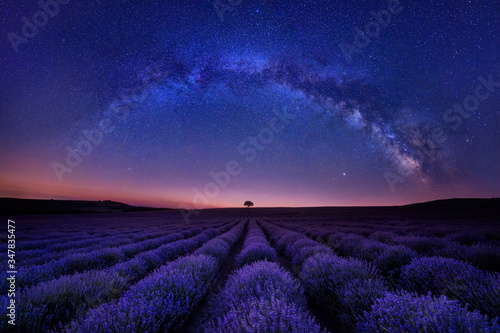 Stunning night landscape with Milky Way Galaxy above a beautiful blooming lavender field, Bulgaria
