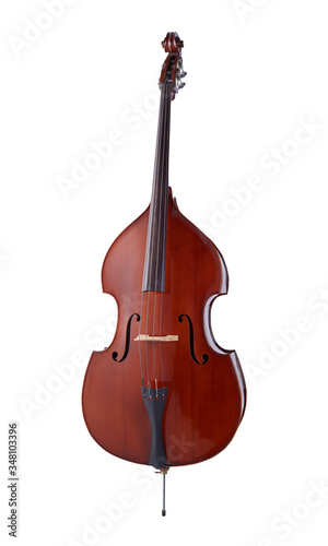 Double Bass, Strings Music Instrument Isolated on White background