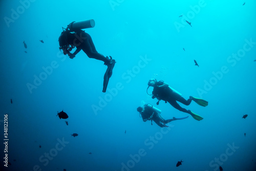 Silhouette of divers swimming in clear blue water around a coral reef