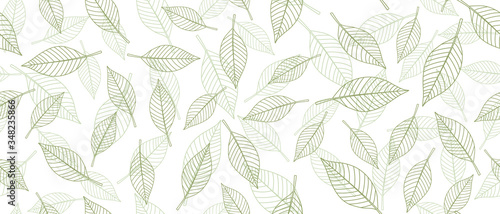 Green leaves seamless background on white background. Vector illustration.