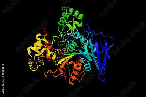 Bile salt-dependent lipase, an enzyme produced by the adult pancreas which aids in the digestion of fats. Originally discovered in the milk of humans and various other primates. 3d rendering