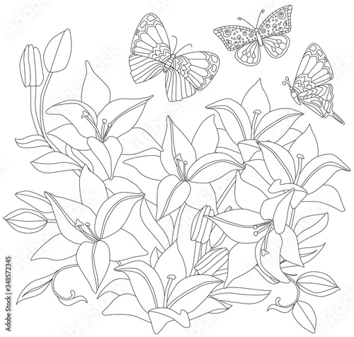 outlined picture of blooming garden with lilies and butterflies