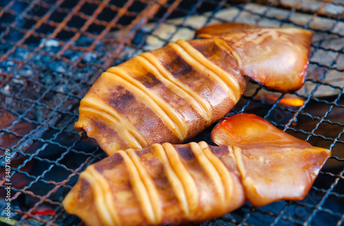 イカ焼き バーベキュー 炭火でイカのぽっぽっ焼き