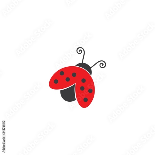 ladybug vector icon illustration design