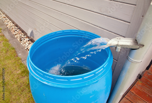 Rain water rainwater harvesting collecting in the garden into a plastic barrel. Ecological system for plants watering 