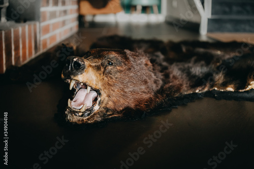 photo of a bear rug on the floor