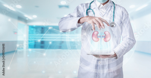 Medical Surgeon Doctor Diagnosis Patients Kidneys Via Media Hologram Tablet in Examination Room, Medicine Urologist Doctors is Examining Patient Kidney on Technology Holograms. Health Care/Doctor