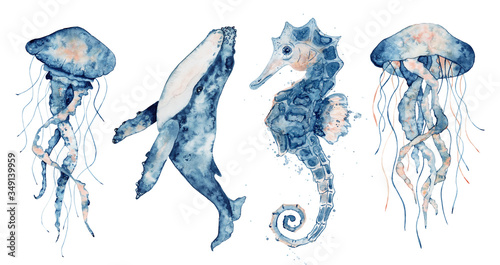 Set of sea animals. Blue watercolor ocean fish, Medusa, whale, seahorse