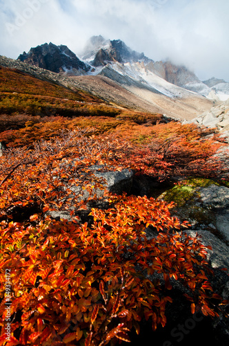 Autumn in Torres del Paine National Park, Chile.