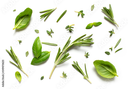 various herbs on white background, top view
