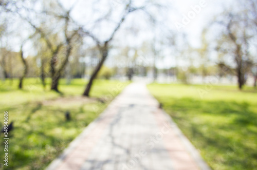 Blurred background of spring park. Bare trees, green grass and alley with bokeh effect. Early spring concept.