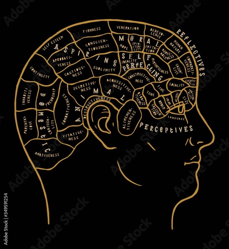Human brain scheme vintage vector illustration. Incredibly detailed mind map typography illustration with human head divided in sectors.