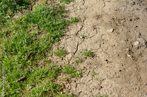 Drought in Europe. Global warming concept background. Dry ground and grass.