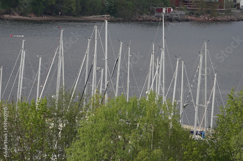 Looking up the mainmasts of sailboats over gray water.