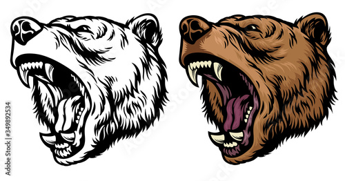 anggry roaring grizzly bear head