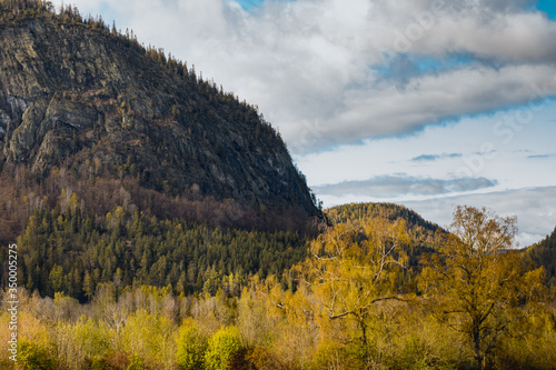 Typowy Skandynawski krajobraz, góry na zboczach których rosną drzewa