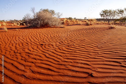 Desolate landscape with sparse vegetation and red sand. Australia