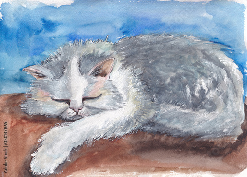 Gray cat with curly hair sleeps at home on the couch. Hand drawn watercolor illustration. Image for greeting card, calendar, cover and book