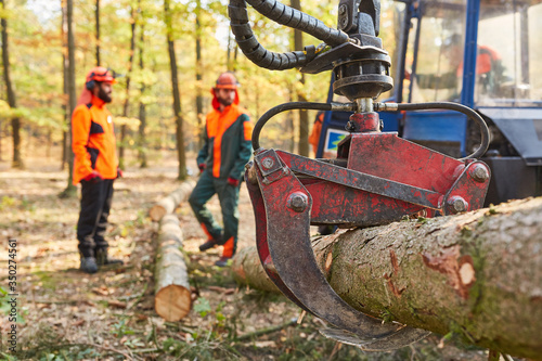 Kran vom Forwarder transportiert einen Baumstamm