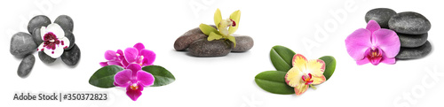 Set of beautiful orchid flowers with leaves and stones on white background. Banner design