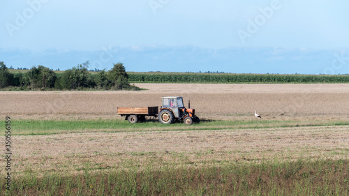 Old small tractor with a full of grain trailer returns to the granary meets the stork. Europe (Poland).