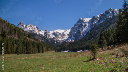Wielka Polana Małołącka w Dolinie Małej Łąki w Tatrach Zachodnich - wiosną. 