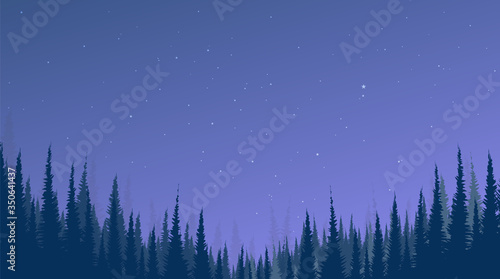 Night landscape background with Pine Forest and Star,free space for text in put,vector