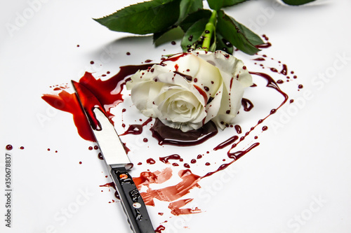 Beautiful and bloody white rose with knife on the white background. Bloody rose - conceptual photo. White rose with knife and blood.