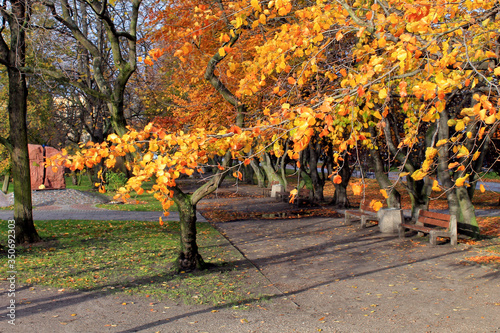Jesień- park Gdyni.