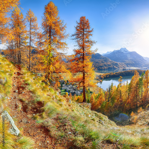 Fantastic autumn panorama over Sils im Engadin (Segl) village and Sils lake(Silsersee)
