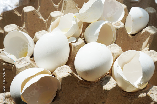 White eggshell. Rapidly decomposable trash