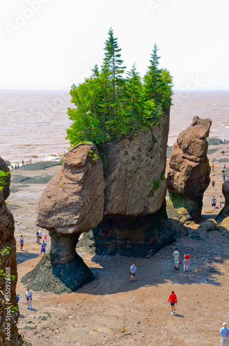 Famous flower pot Rock formation from tidal erosion at Hopewell Rocks, New Brunswick, Canada - Canadian Travel Destination - Canadian Landscape