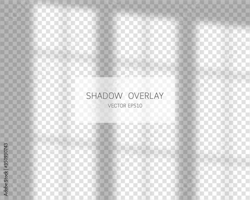 Shadow overlay effect. Natural shadows from window isolated on transparent background. Vector illustration. 