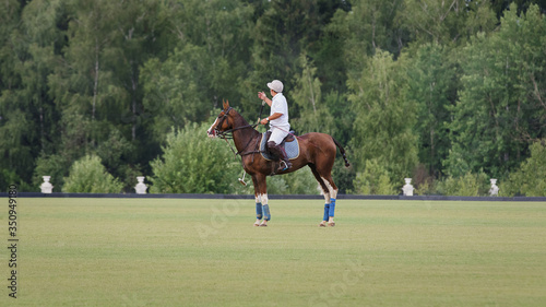 A horse Polo player stands in the middle of the field before the game starts