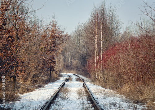 Tory kolejowe w śniegu i drzewa