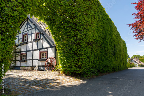 Höfen, Germany - May 17, 2020: Large hedge in front of a half-timbered house