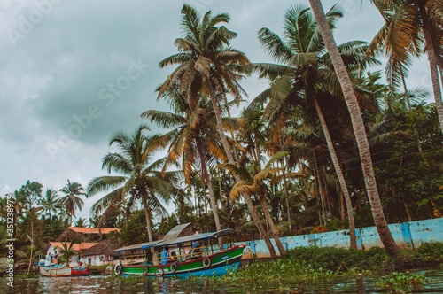 Palm trees against cloudy sky in the backwaters of Kerala, India