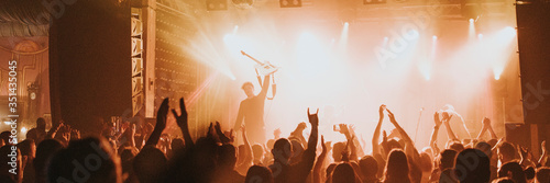 Fans cheering in a concert