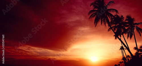 Palm trees and red sky with sunlight.Sky sunset on Caribean.