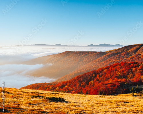 Breathtaking morning moment in alpine foggy valley. Location place of Carpathian mountains, Ukraine, Europe.
