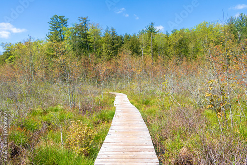 Boardwalk through the wetlands in Peoples State Forest