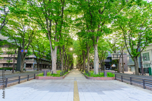 新緑の杜の都 仙台