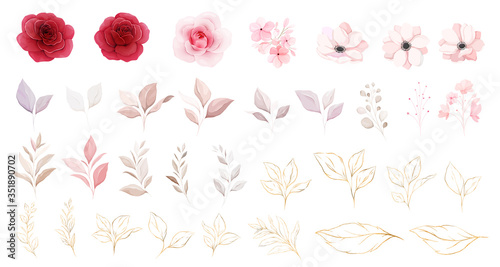 Floral elements vector set. Botanic individual elements of red & peach roses, and white anemone flowers, leaf, branch. Botanic illustration for wedding or logo composition vector